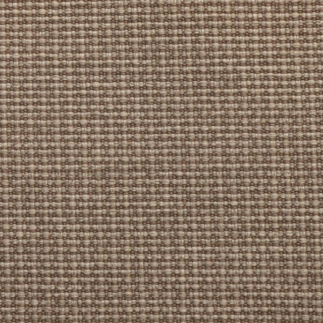 Eade's RMCoco-1280735-sample Spanish Moss