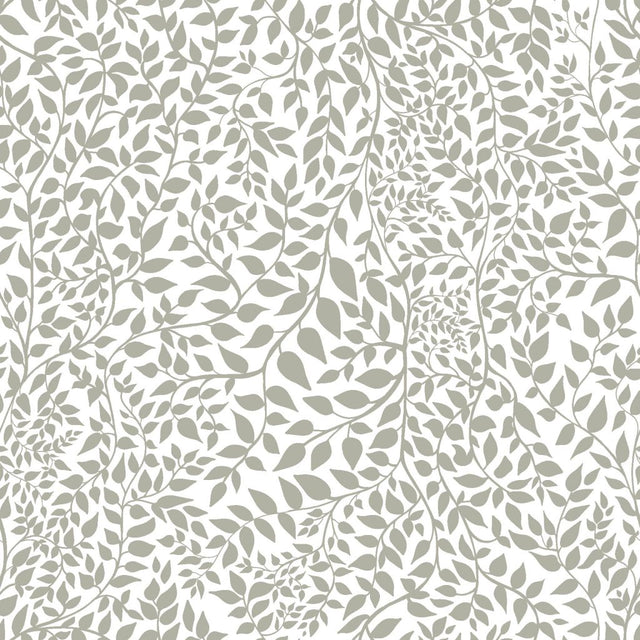 Eade's RMCoco-CW157210-sample Mushroom