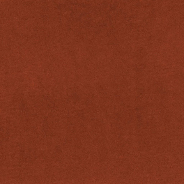 Eade's RMCoco-13774143-sample Persimmon
