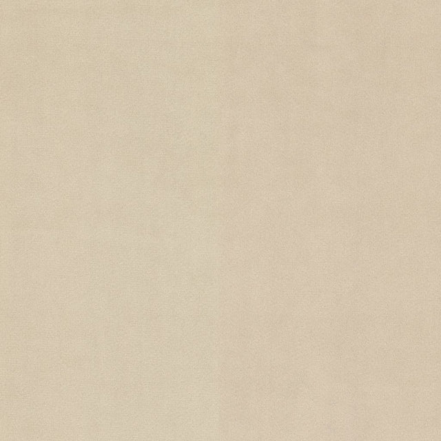 Eade's RMCoco-13774262-sample Sandstone