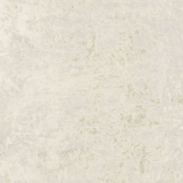 Eade's RMCoco-13832279-sample Froth