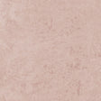 Eade's RMCoco-1383294-sample Cameo