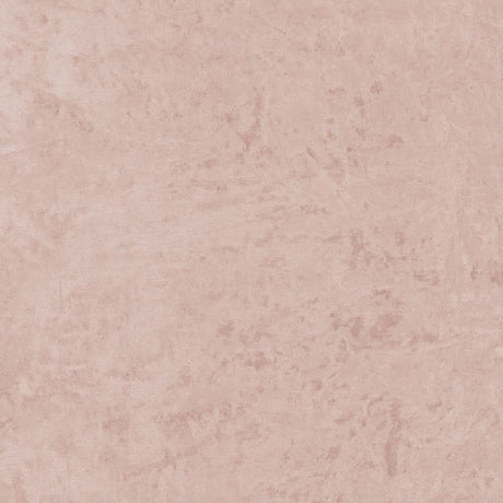 Eade's RMCoco-1383294-sample Cameo