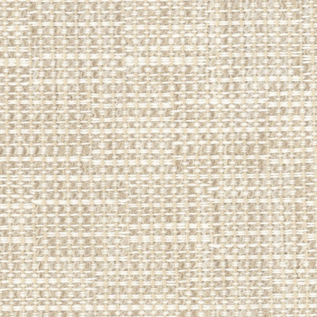 Eade's RMCoco-138476-sample Froth