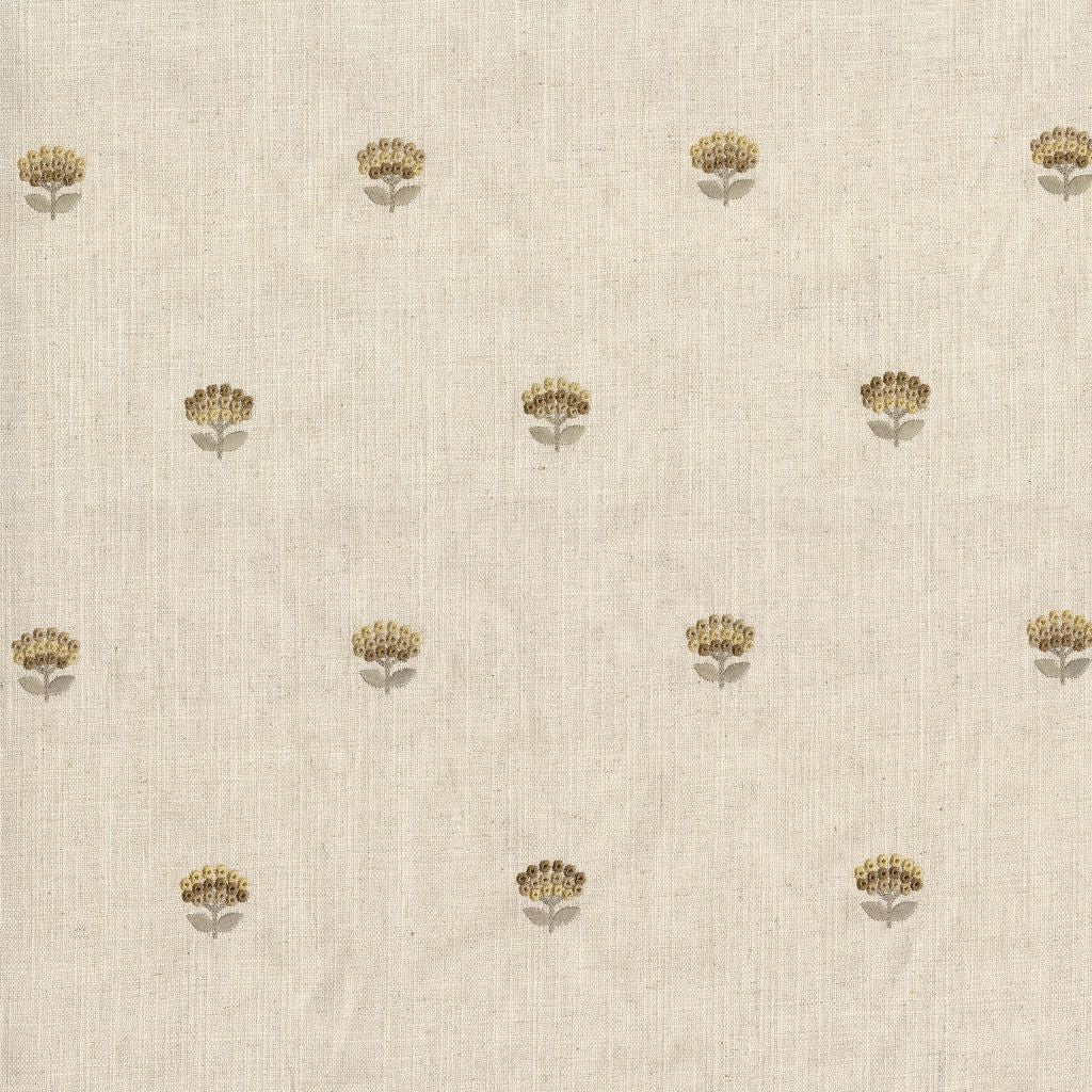 Eade's RMCoco-PR0186811-sample Marigold