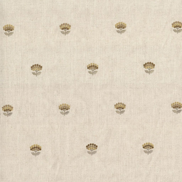 Eade's RMCoco-PR0186811-sample Marigold