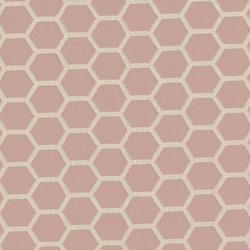 Eade's RMCoco-PR017310-sample Cameo