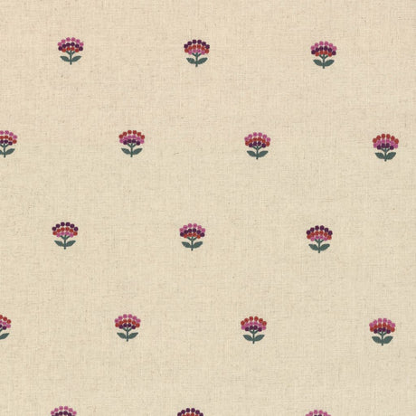 Eade's RMCoco-PR0186614-sample Begonia