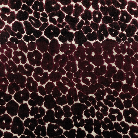 Eade's RMCoco-PR015782-sample Currant