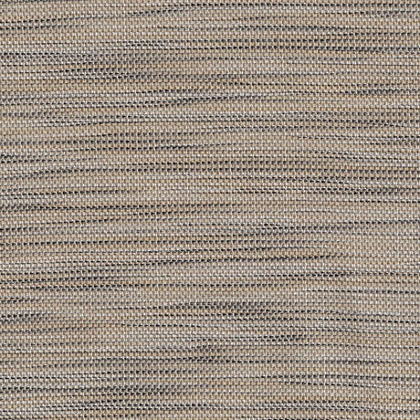 Eade's RMCoco-PR017824-sample Birch