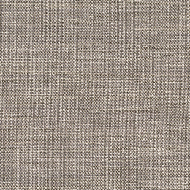 Eade's RMCoco-PR0178481-sample Dove