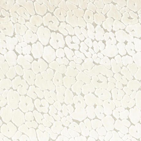 Eade's RMCoco-PR0157120-sample Pearl