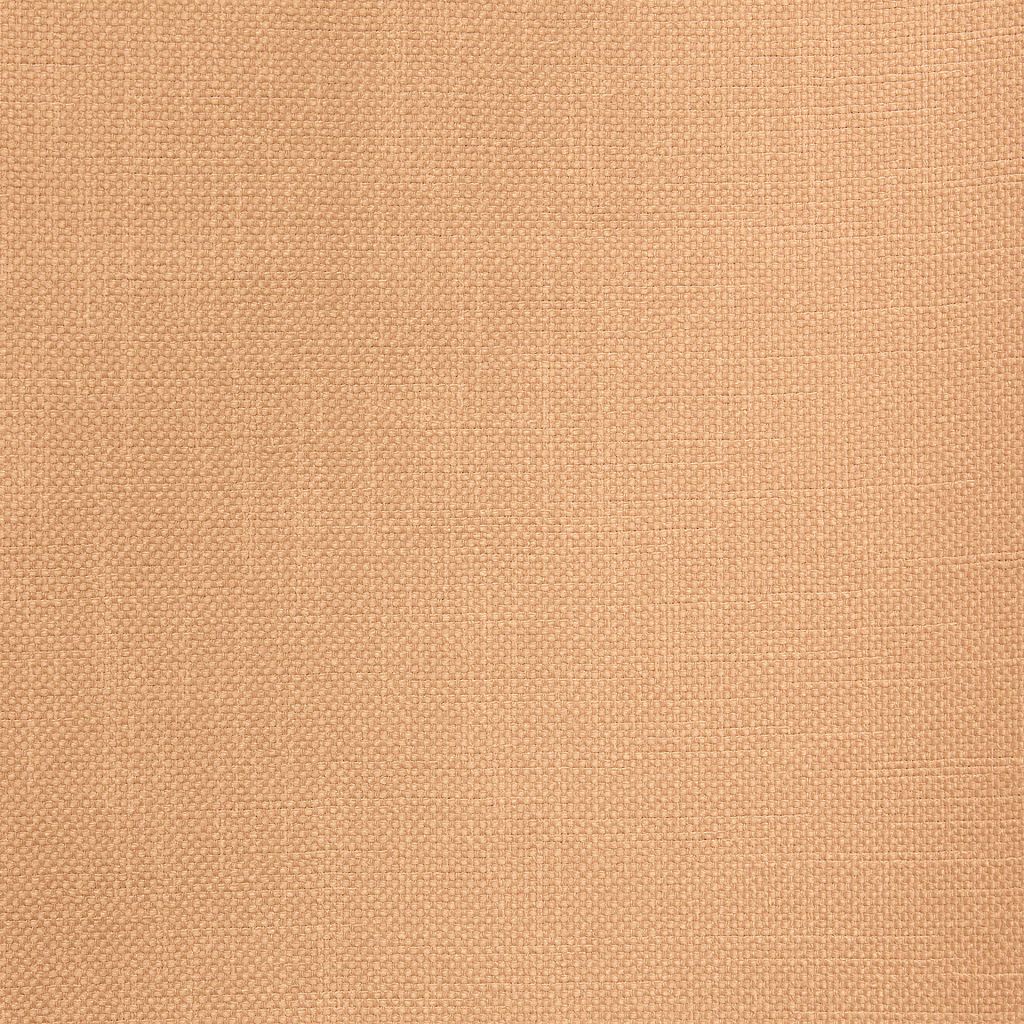 Eade's RMCoco-13662820WS-sample Maize