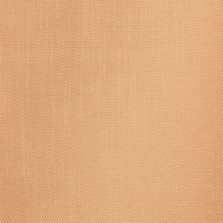 Eade's RMCoco-13662820WS-sample Maize