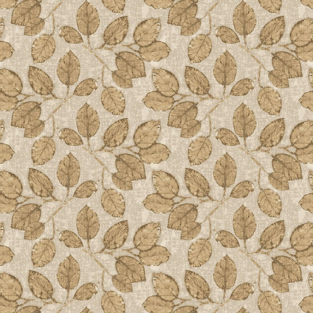 Eade's RMCoco-CWDL161262-sample Sandstone