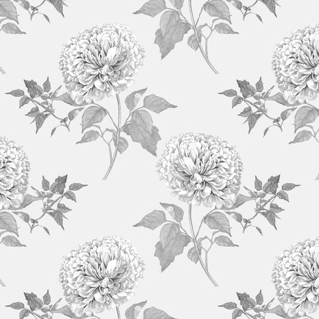 Eade's RMCoco-CWDL163681-sample Graphite