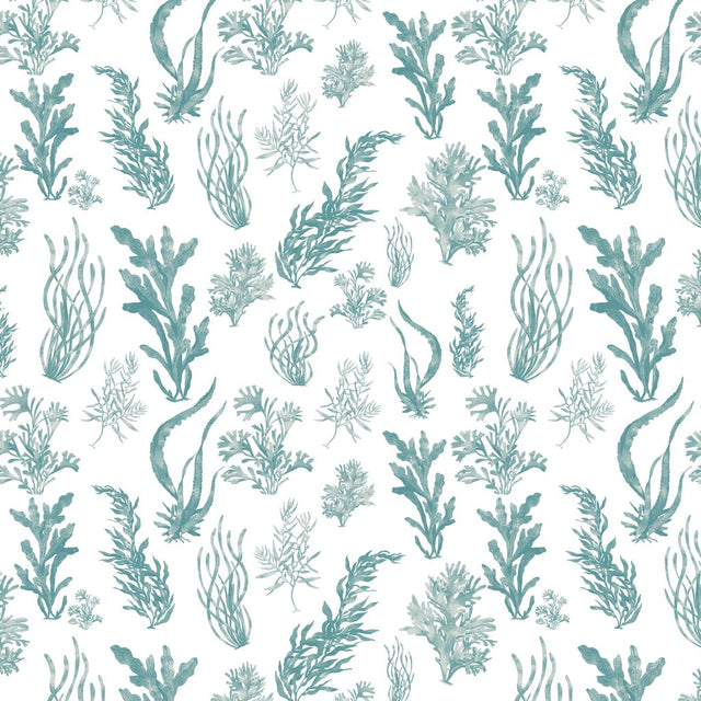 Eade's RMCoco-CWDL1011028-sample Ocean Front