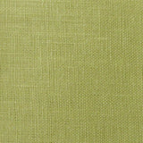 Eade's RMCoco-12528417-sample Fern