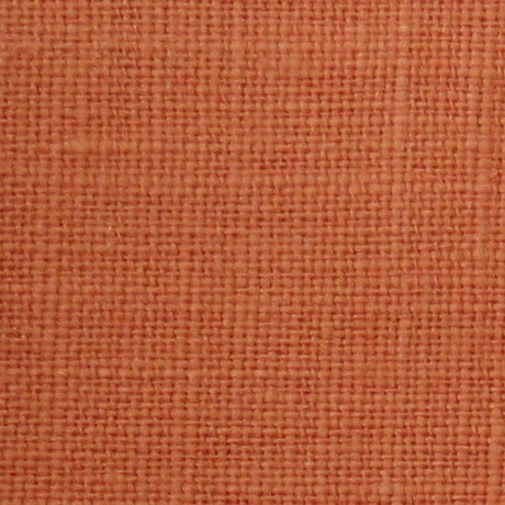 Eade's RMCoco-12528908-sample Pumpkin