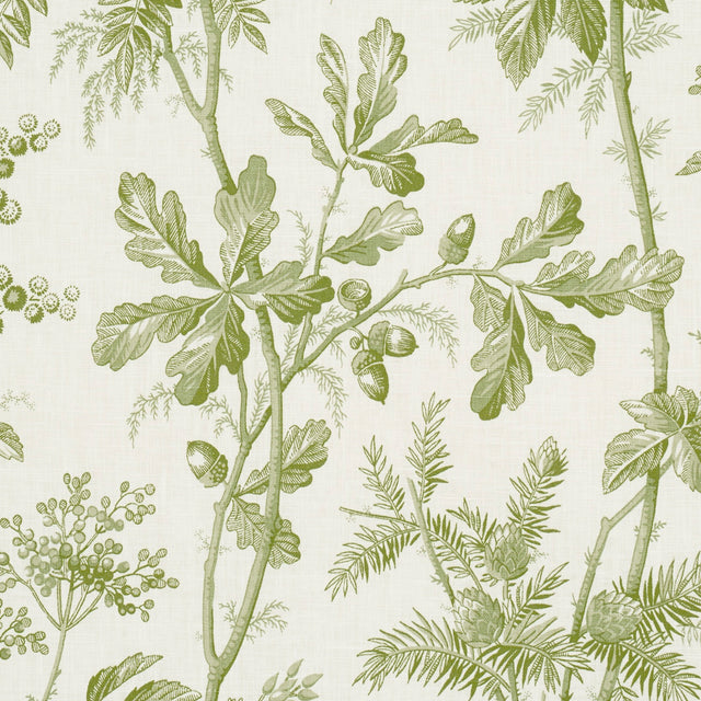 Schumacher 174114 BRANTWOOD VINE in LEAF Fabric - A COUNTRY 