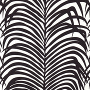 Eade’s EBONY