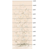 Schumacher Chinois Palais Blush Conch Fabric