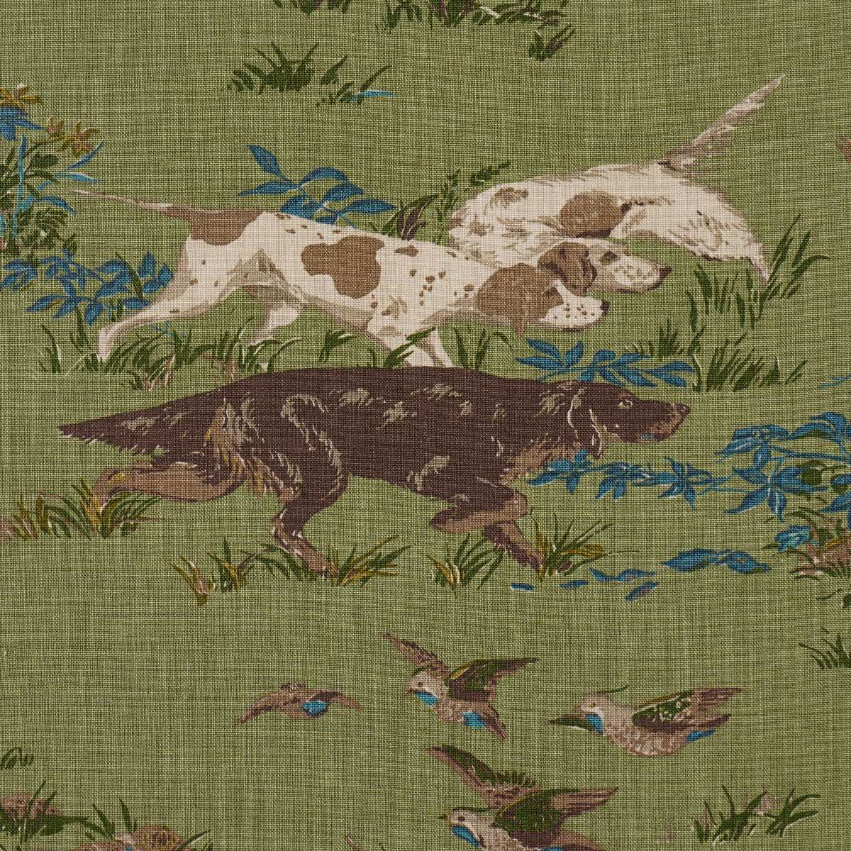 Schumacher 175161 POINTERS in SKY Fabric - Eade's – Eades