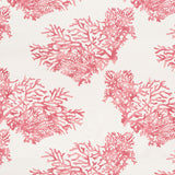 Schumacher Great Barrier Reef Pink Fabric