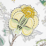 Schumacher Indian Arbre Citron Fabric
