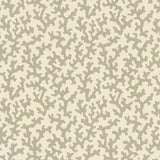 Schumacher Folly Sage Fabric