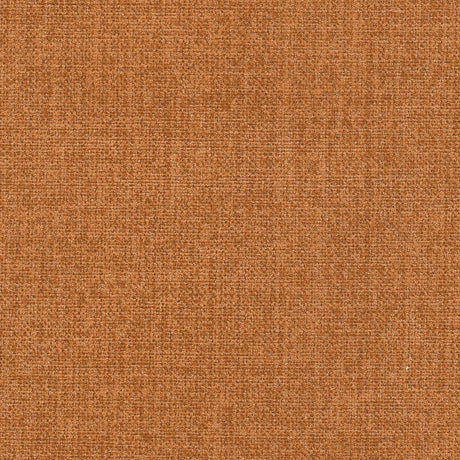RM Coco Finesse Multi-Purpose Texture Canyon 14053273 Fabric