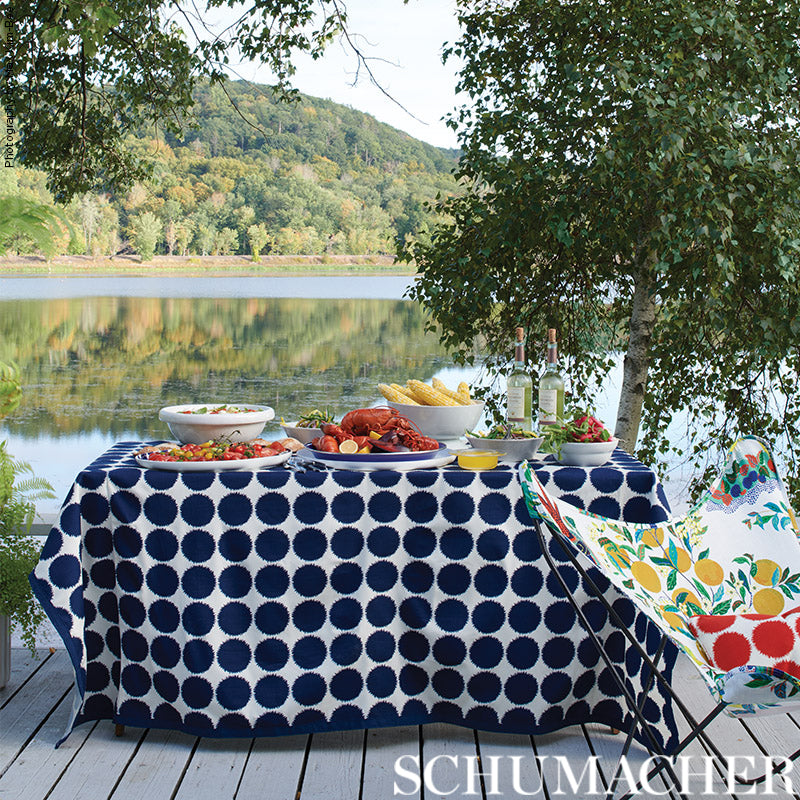 Schumacher Fuzz Ii Indoor/Outdoor Navy Fabric