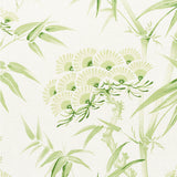 Eade’s LEAF