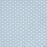 Eade’s CHAMBRAY
