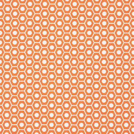 Eade’s ORANGE