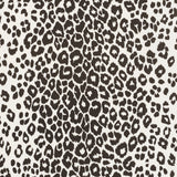 Schumacher Iconic Leopard Indoor/Outdoor Graphite Fabric