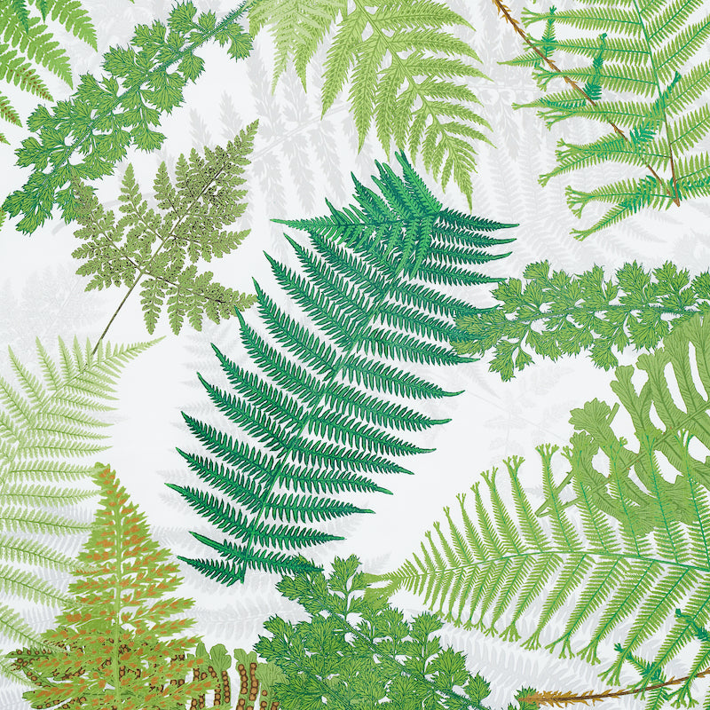 Eade’s GREEN & IVORY