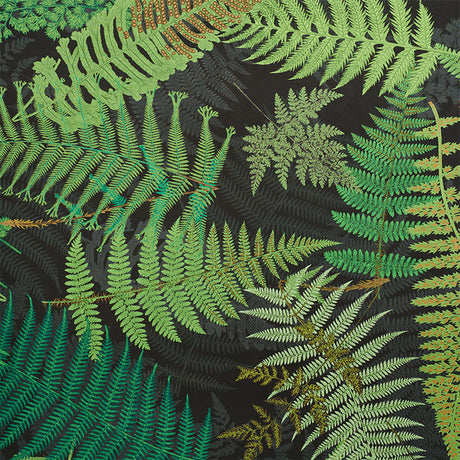 Eade’s GREEN & BLACK