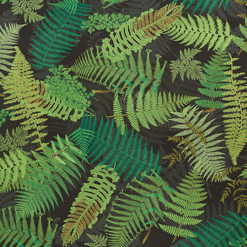Eade’s GREEN & BLACK