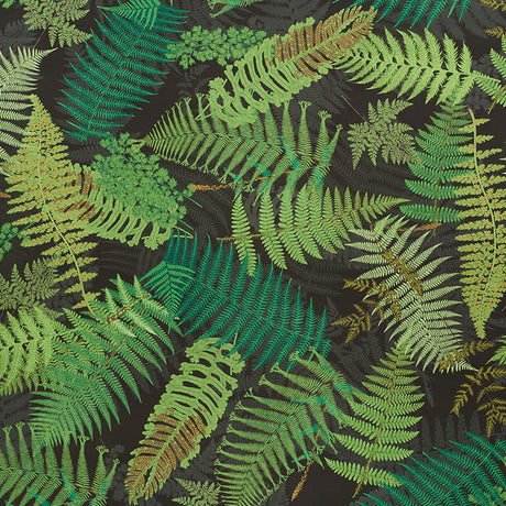 Eade’s GREEN & BLACK