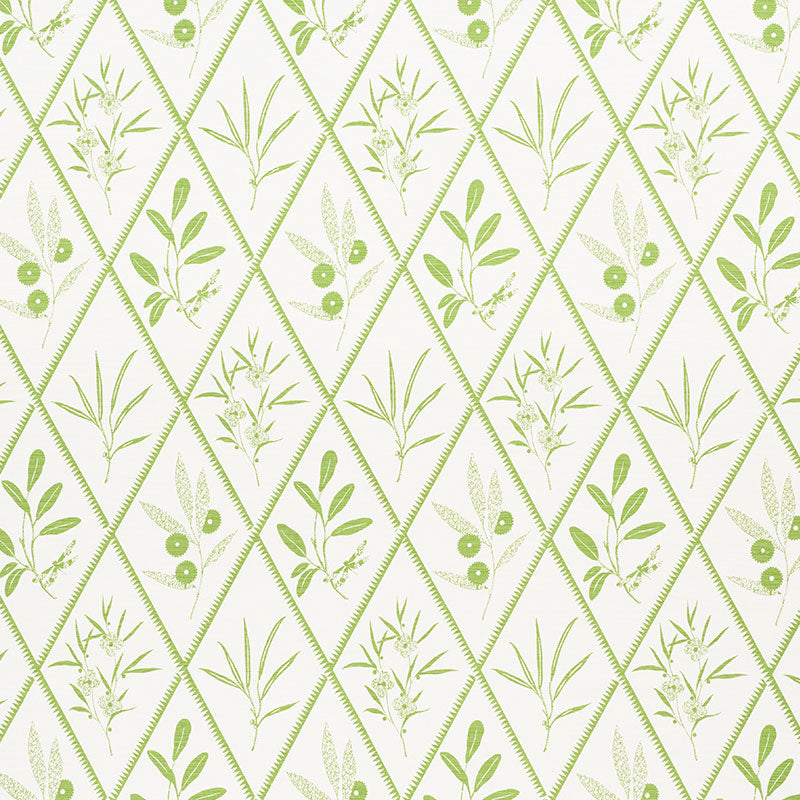 Schumacher Endimione Leaf Fabric