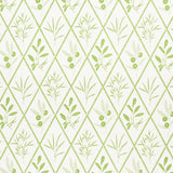 Schumacher Endimione Leaf Fabric