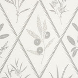 Schumacher Endimione Grey Fabric