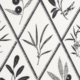 Schumacher Endimione Carbon Fabric