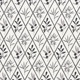 Schumacher Endimione Carbon Fabric