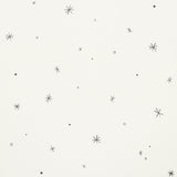 Schumacher Calisto Ivory & Black Fabric