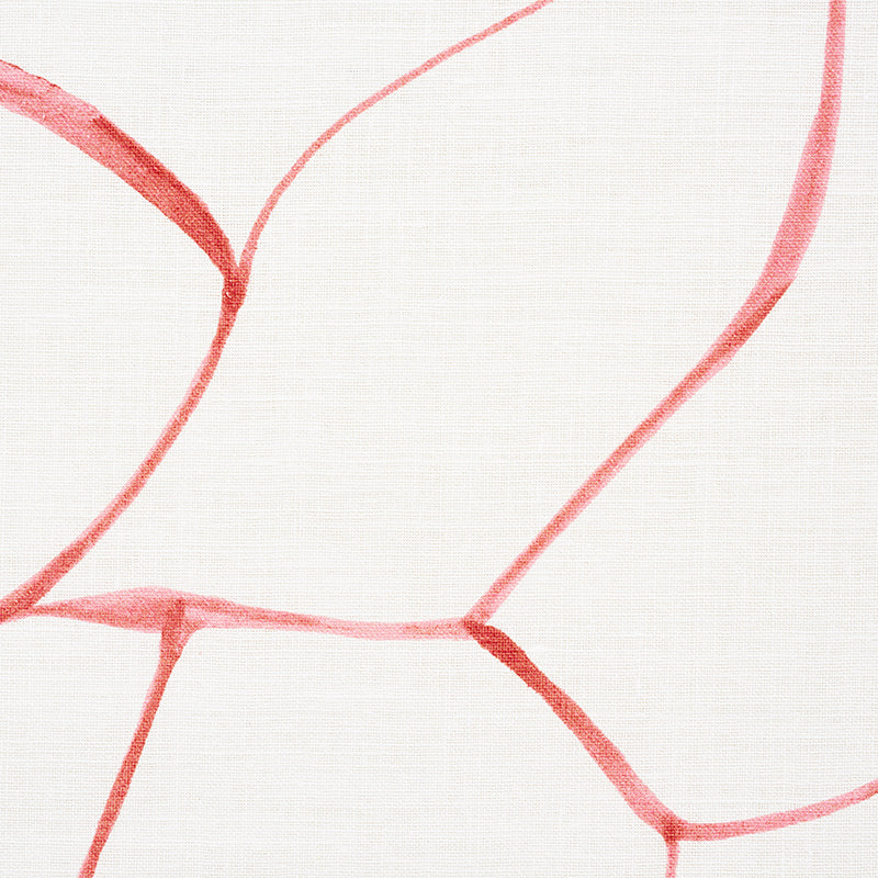 Eade’s CORAL