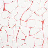 Eade’s CORAL