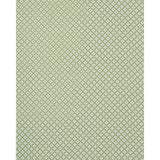 Schumacher Serendipity Green Fabric - Eade's Wallpaper