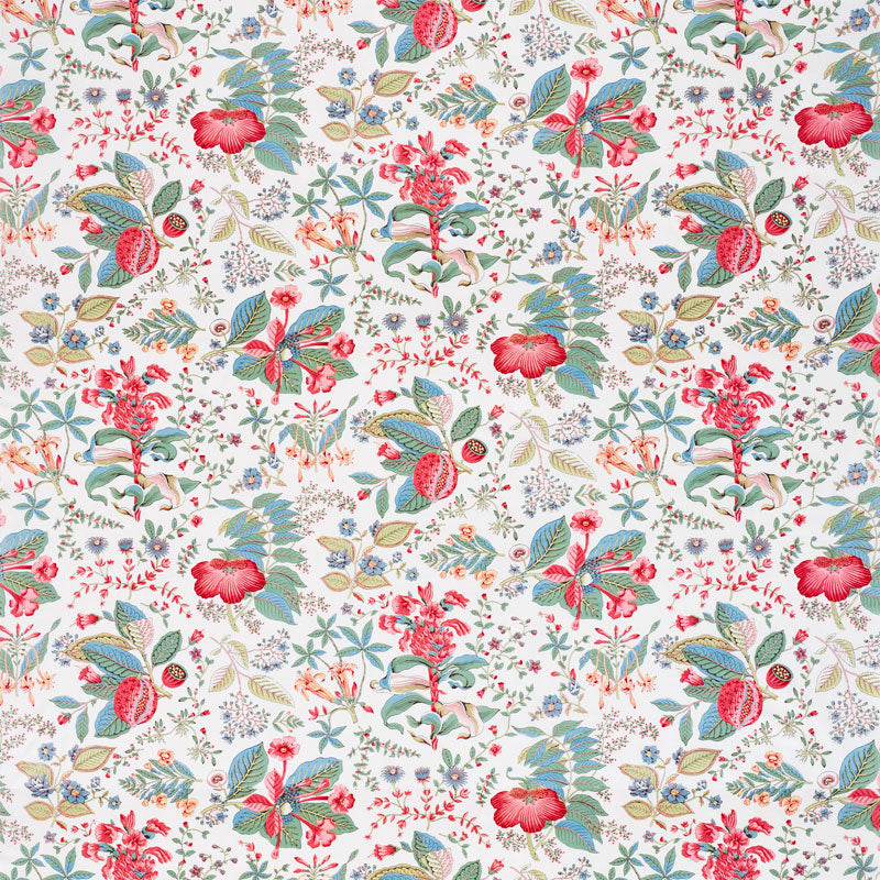 Schumacher Pomegranate Botanical Document Fabric - Eade's Wallpaper
